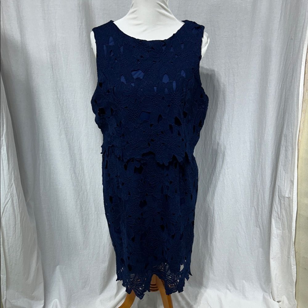 Sociology Navy Floral Lace Midi Dress